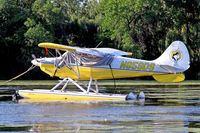 N859DS @ 96WI - Aviat A-1B Husky [2416] Vette/blust Seaplane Base Oshkosh~N 30/07/2008 - by Ray Barber