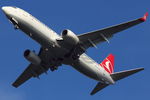 TC-JFN @ EDDL - Turkish Airlines - by Air-Micha