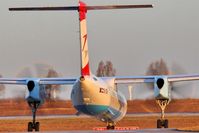 OE-LGF photo, click to enlarge OE-LGF photo, click to enlarge
