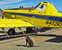 N402KN @ P-48 - N402KN at Pleasant Valley Airport AZ - by Gary Kegel