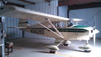 N5828D - At home in Ionia,, Mi. - by Doran