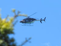 ZK-HVN - over back garden - nearly hit tree! - by magnaman