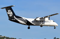 ZK-NEP photo, click to enlarge