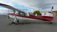 N8245A @ KRHV - A colorful transient Cessna 170B sits at Aero Dynamic Aviation. I haven't seen this plane since I took this picture. - by Chris L.