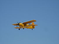 N2AN @ SZP - 1984 Antonov An-2 'Big Panda', NATO code name COLT, Wsk-pzl-k PZL ASZ 62 R1 1,000 Hp radial, flyover Rwy 26 - by Doug Robertson