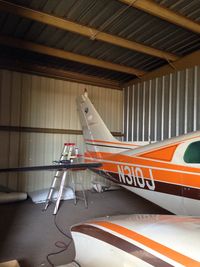 N310J - Giving the paint a good buff - by JJ to the E