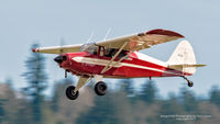 N53PA @ KAWO - Arlington Airport - by Terry Green