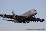 A6-EDW photo, click to enlarge A6-EDW photo, click to enlarge