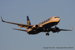 EI-DYB photo, click to enlarge EI-DYB photo, click to enlarge