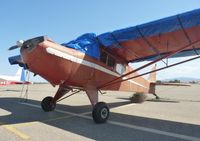 N2002A @ KTCY - A 1979 Taylorcraft F-19 for sale sitting on the ramp at Tracy Municipal Airport. - by Chris L.