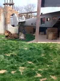 N766X - Aircraft is  located that Columbus Zoo  in the lion  exhibit - by Ronnie Montague