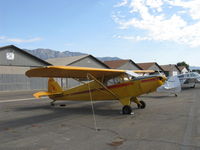 N87804 @ SZP - 1946 Piper PA-12 SUPER CRUISER, Lycoming O-290 125 Hp upgrade, Alaska visitor flown by young lady - by Doug Robertson