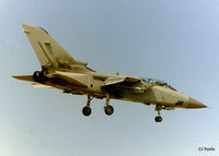 ZE790 photo, click to enlarge ZE790 photo, click to enlarge