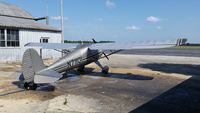N71101 - Spring cleaning. - by unknown