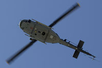 MM81163 photo, click to enlarge