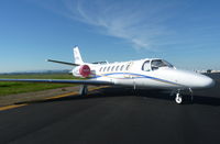 N717VL @ KAPC - A local 2005 Cessna Citation II sitting at one of the tie downs at Napa Airport, CA. - by Chris Leipelt