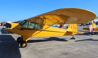 N77PC @ NIP - Piper J3C Cub - by Florida Metal