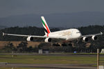 A6-EDZ photo, click to enlarge