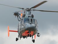 24 - French Navy training in Bordeaux town - by Jean Goubet-FRENCHSKY