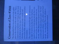 NZ6000 - Display details - by magnaman