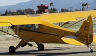 N7272H @ KRHV - A local 1946 Piper J3 Cub taxing down Z after some pattern work at Reid Hillview Airport, CA. - by Chris Leipelt