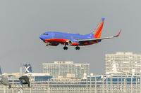 N260WN @ FLL - Ft. Lauderdale - by Alex Feldstein