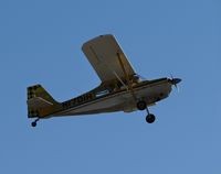N1701H - A local 1974 Bellanca 7KCAB taking off on runway 31R at Reid Hillview Airport, CA. - by Chris Leipelt