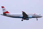 OE-LBW photo, click to enlarge