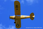 G-FUZZ photo, click to enlarge G-FUZZ photo, click to enlarge