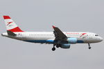 OE-LBK photo, click to enlarge
