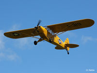 G-FUZZ photo, click to enlarge G-FUZZ photo, click to enlarge