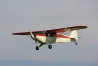 N2499M @ 7V3 - Piper PA-12 - by Mark Pasqualino
