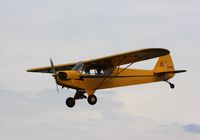 N7359H @ 7V3 - Piper J3C-65 - by Mark Pasqualino