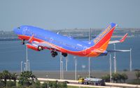 N700GS @ TPA - Southwest - by Florida Metal