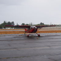 N9161C @ PAE - 1954 Cessna 180 - by Eric Olsen