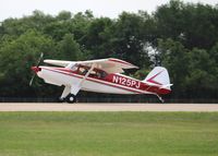 N125PJ @ KOSH - Bearhawk - by Mark Pasqualino