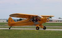 N32587 @ KOSH - Piper J3C-65 - by Mark Pasqualino