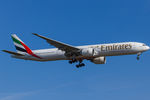 A6-ENL photo, click to enlarge