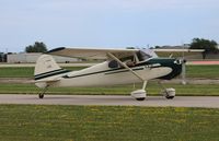 N1736D @ KOSH - Cessna 170A - by Mark Pasqualino