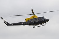 ZJ235 photo, click to enlarge