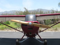 N1662E @ SZP - 1946 Aeronca 7DC CHAMPION, Continental C90 90 Hp upgrade from original C85, Restricted class, chrome spinner on wood prop - by Doug Robertson