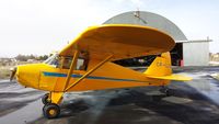 CF-COG - Our 1948 PA 17 - by Mark