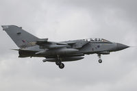 ZA372 photo, click to enlarge