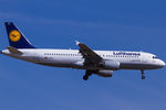 D-AIPL @ EDDF - Lufthansa - by Air-Micha