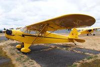 N42211 @ PLU - Piper Cub at Cubs and Classics. - by Eric Olsen