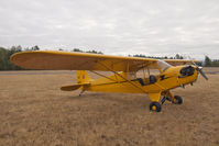 N88234 @ PLU - Piper Cub at Cubs and Classics - by Eric Olsen