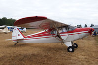 N52920 @ PLU - 1942 Piper J-5C at Cubs and Classics - by Eric Olsen