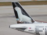 N949FR @ FLL - Erma the Ermine - by Florida Metal