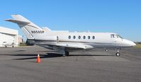 N950DP @ ORL - Hawker 800A - by Florida Metal