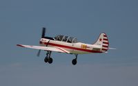 N32YK @ KOSH - YAK-52 - by Mark Pasqualino